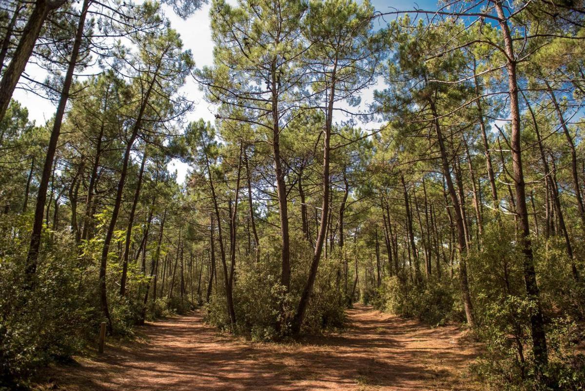 Le Petit Cote Ouest - Appt Dans Les Pins Pres De La Plage Ле-Сабль-д’Олон Экстерьер фото